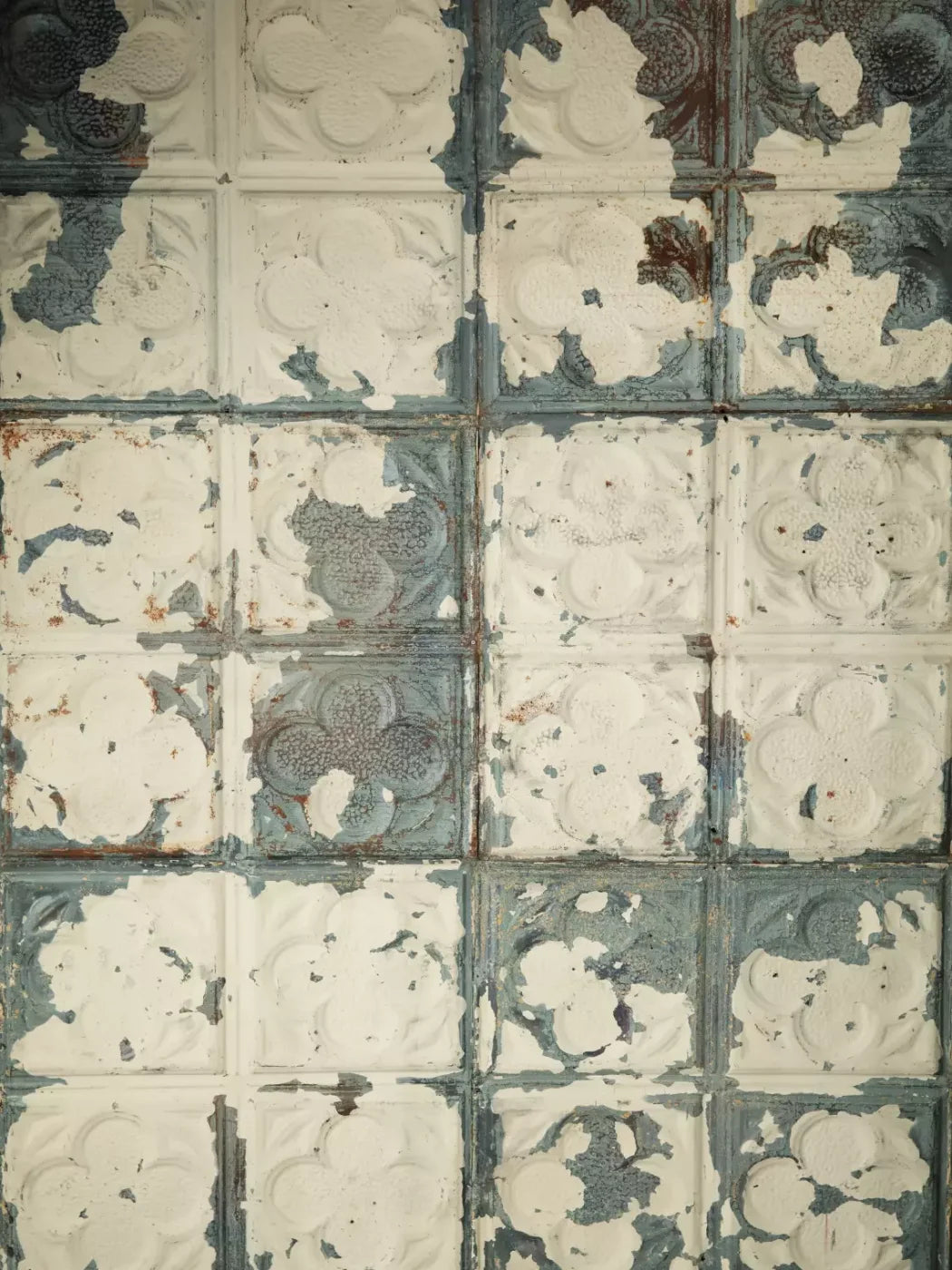 Rin Tin 8X10 Fleece ( 96 X 120 Inch ) Backdrop