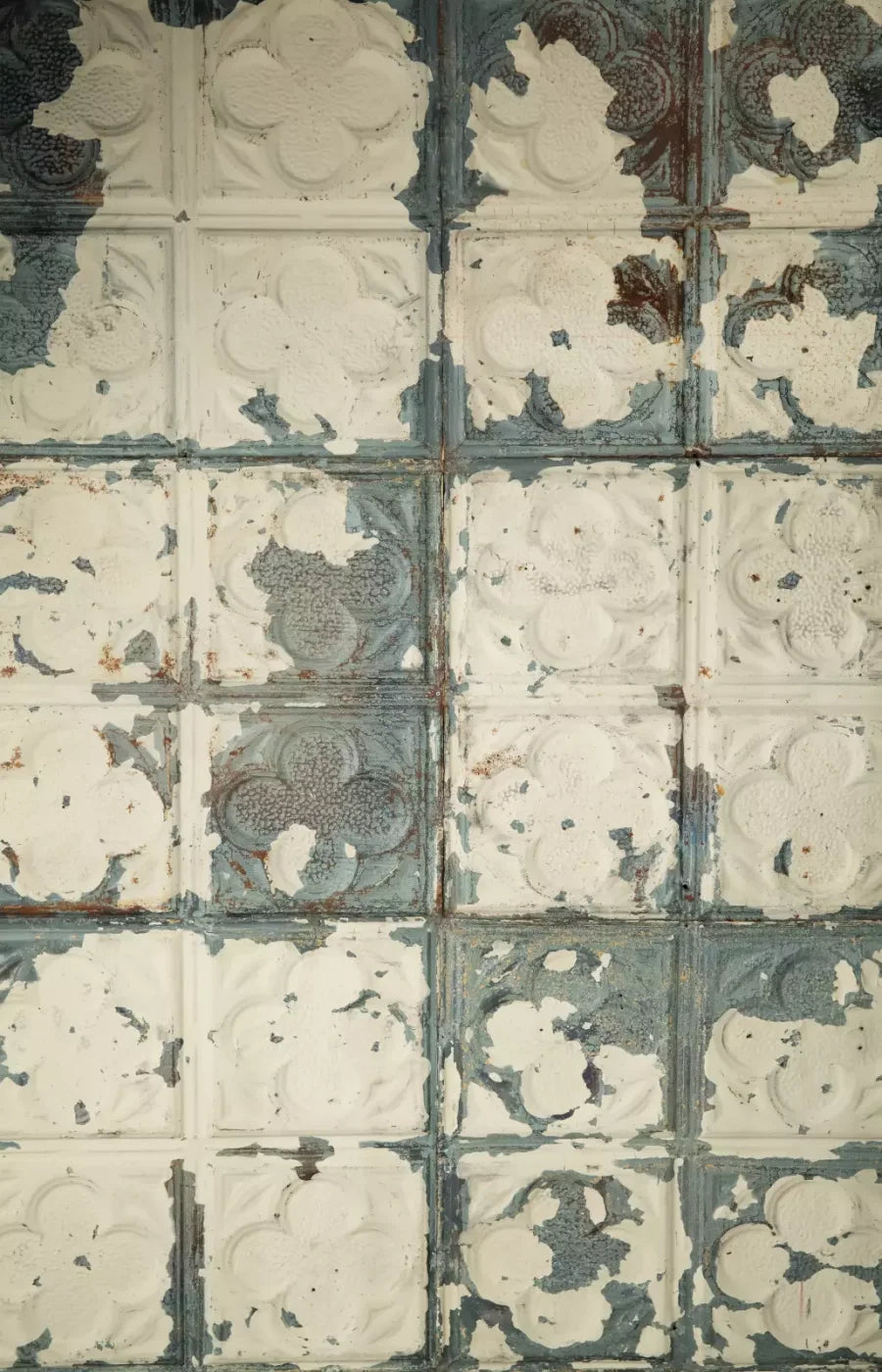 Rin Tin 8X12 Ultracloth ( 96 X 144 Inch ) Backdrop