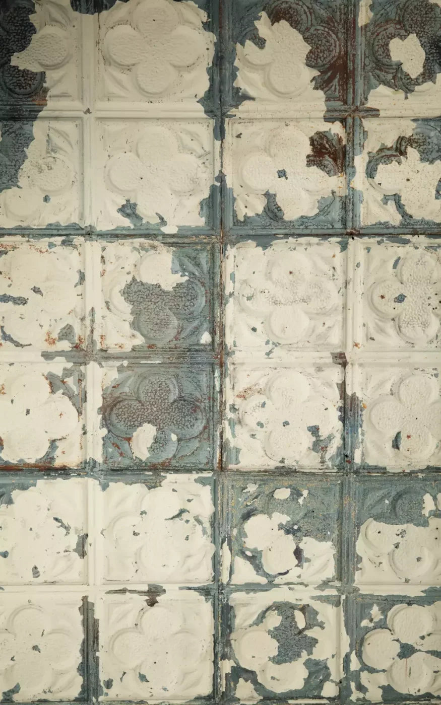 Rin Tin 9X14 Ultracloth ( 108 X 168 Inch ) Backdrop