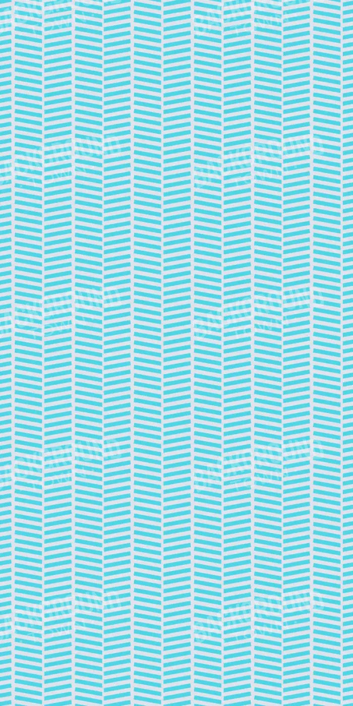 Roarke 10X20 Ultracloth ( 120 X 240 Inch ) Backdrop