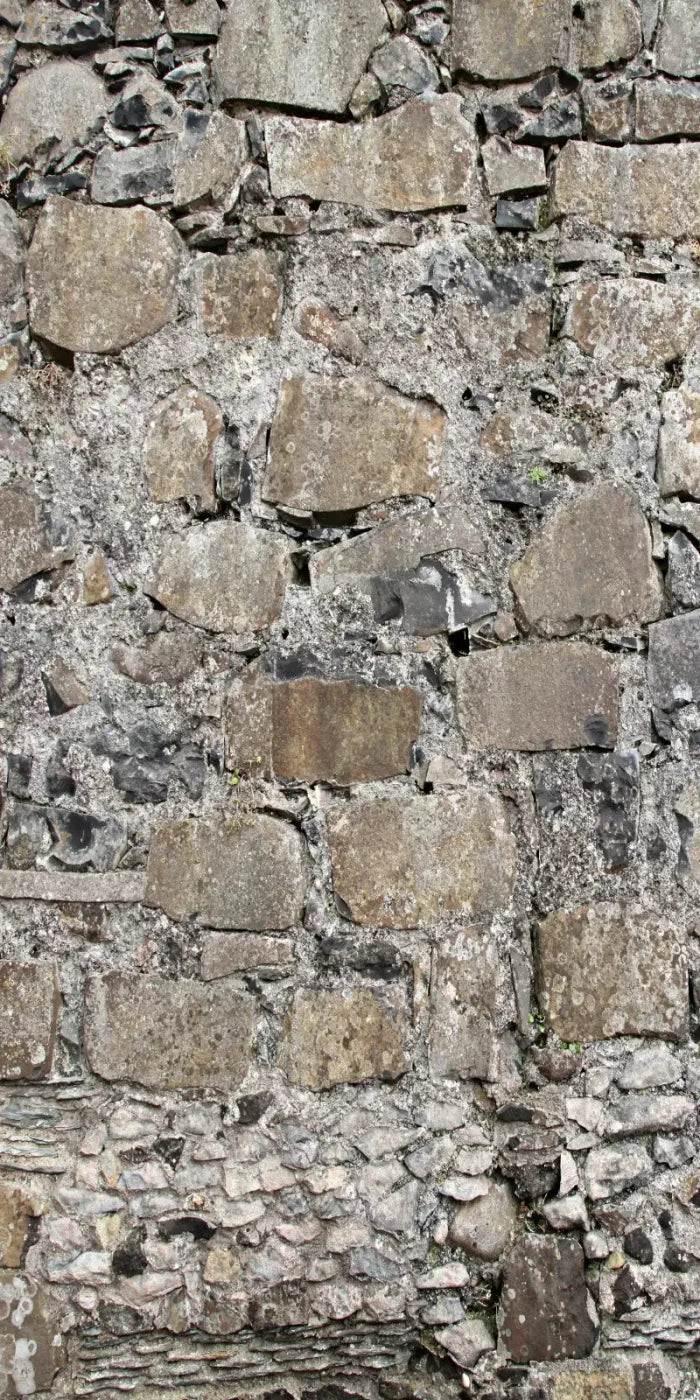 Rock Wall 10X20 Ultracloth ( 120 X 240 Inch ) Backdrop