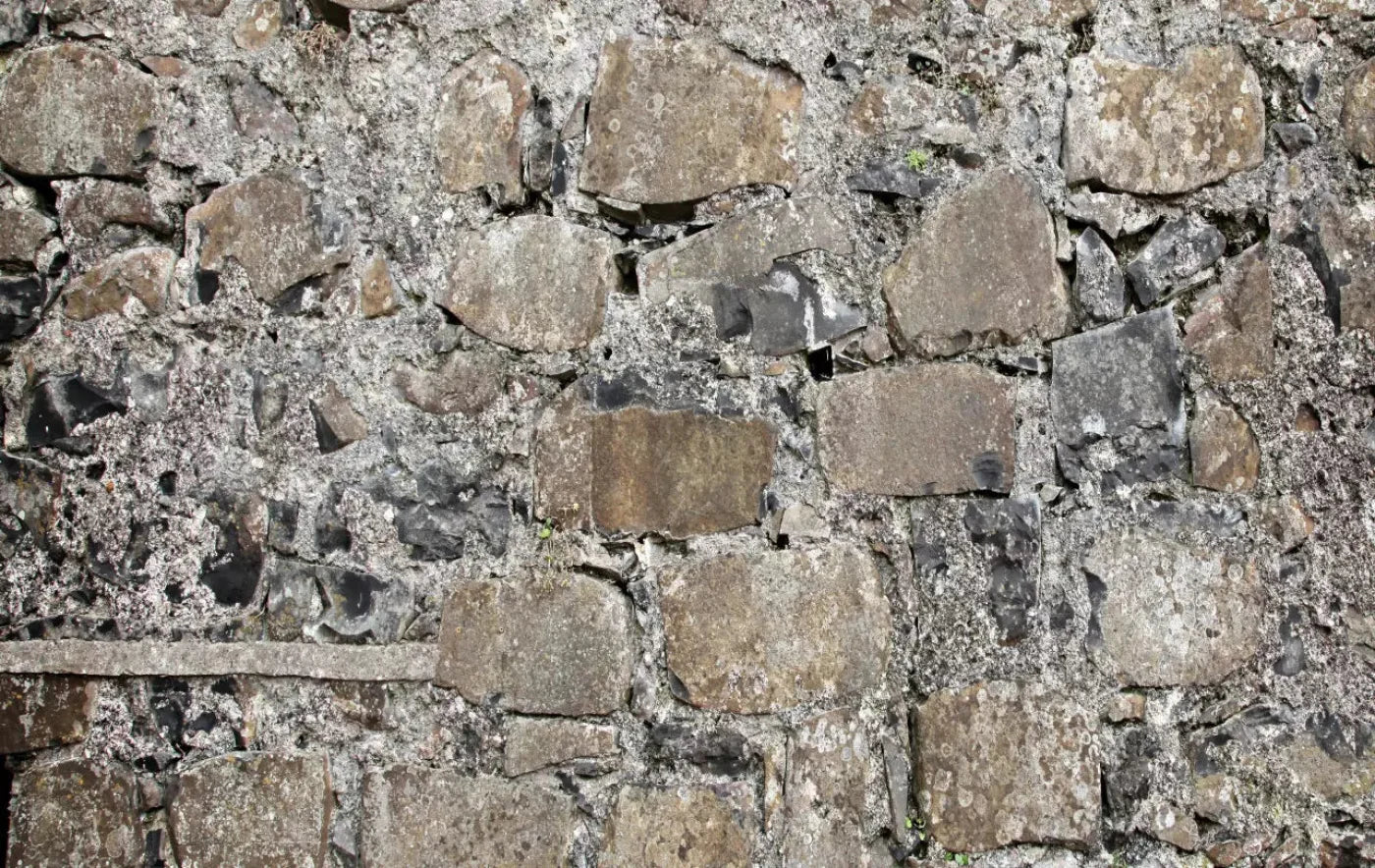 Rock Wall 16X10 Ultracloth ( 192 X 120 Inch ) Backdrop