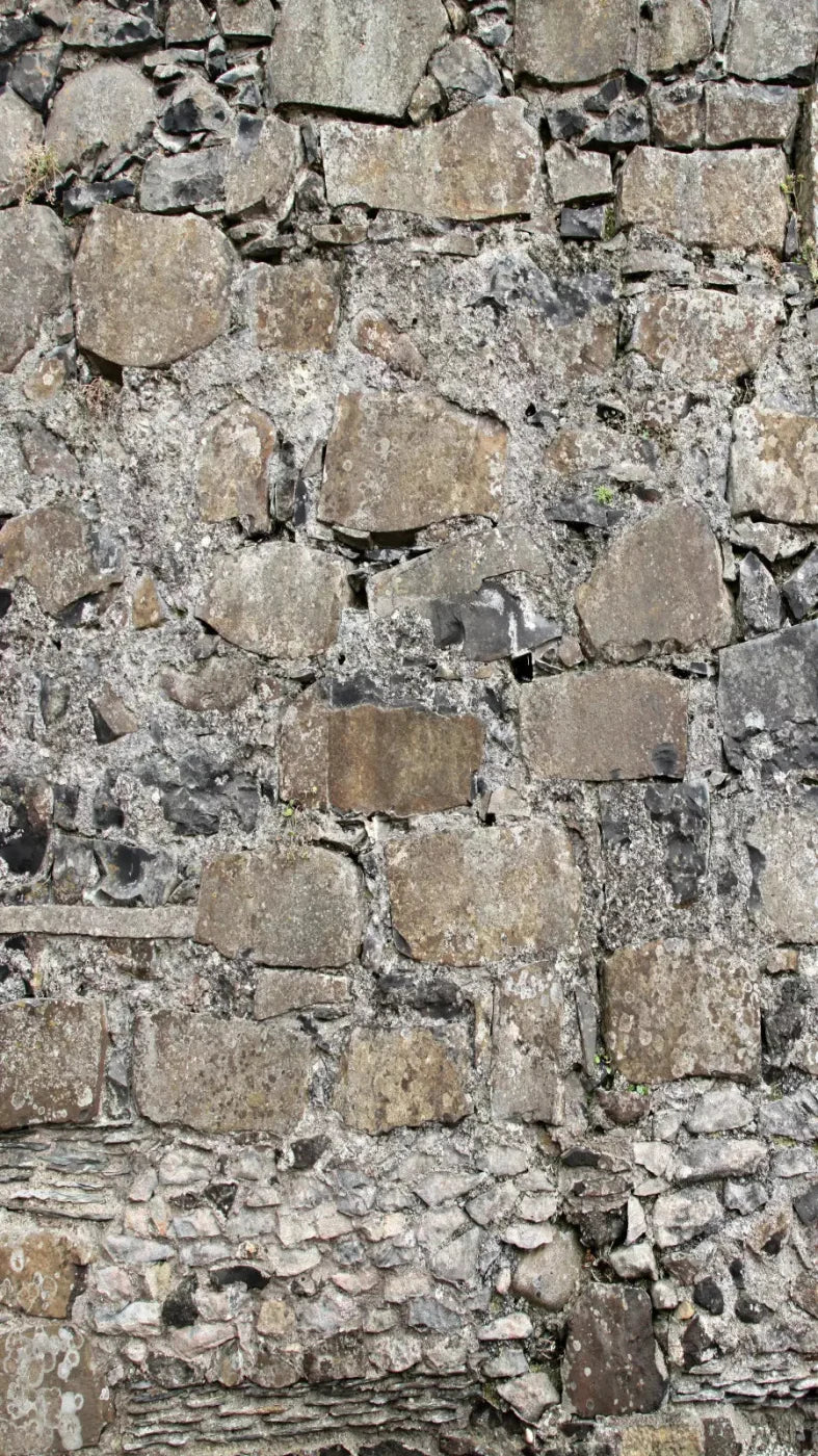 Rock Wall 8X14 Ultracloth ( 96 X 168 Inch ) Backdrop