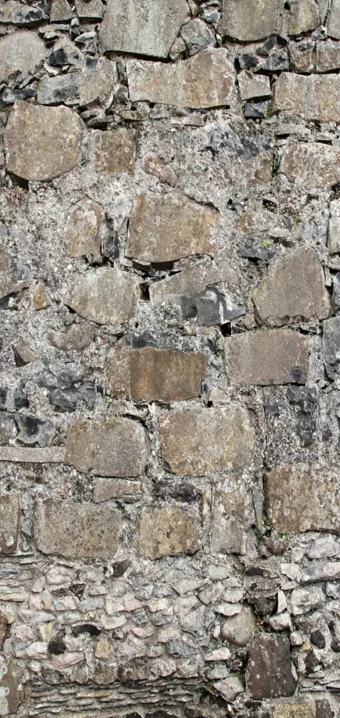 Rock Wall 8X16 Ultracloth ( 96 X 192 Inch ) Backdrop