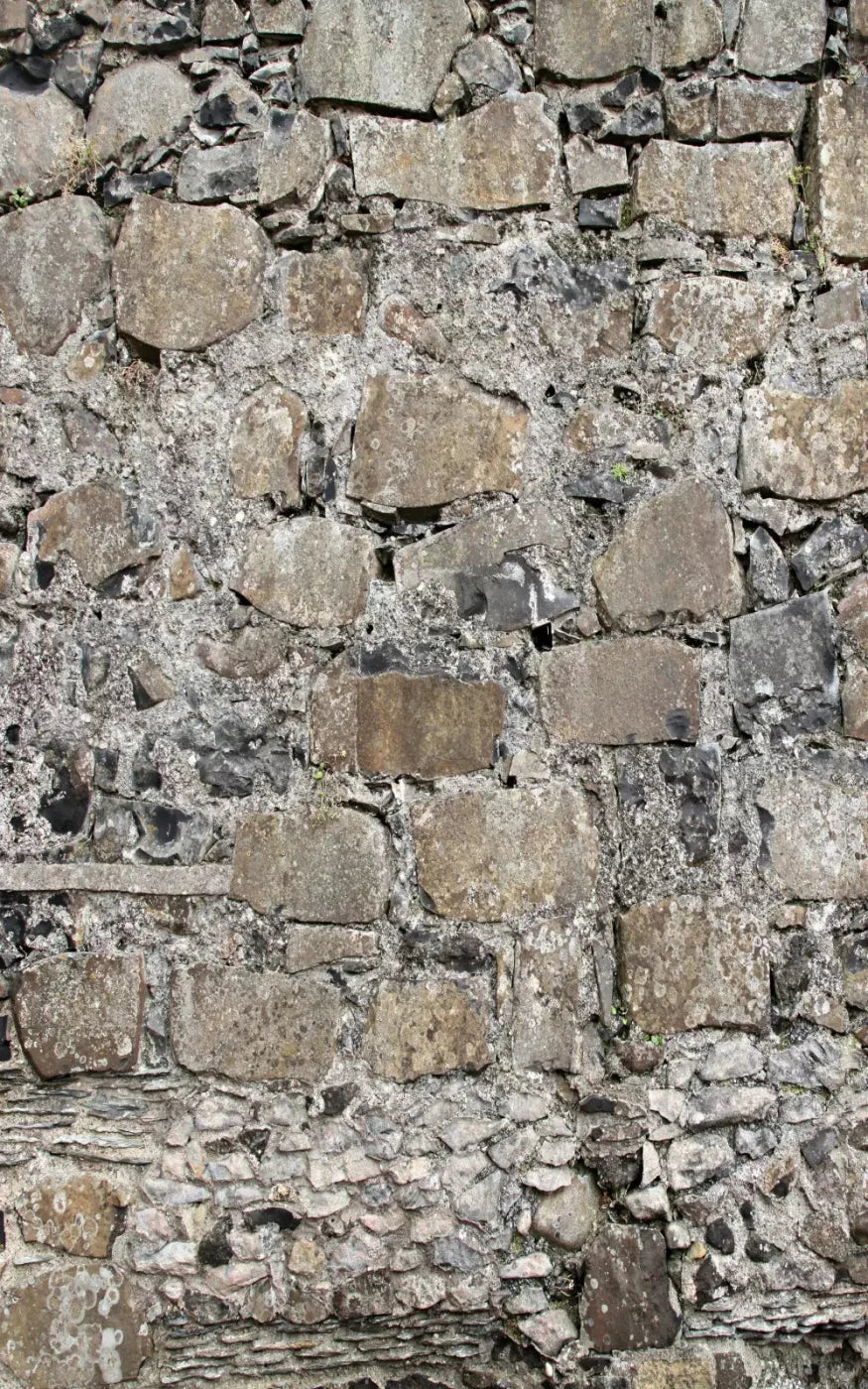 Rock Wall 9X14 Ultracloth ( 108 X 168 Inch ) Backdrop