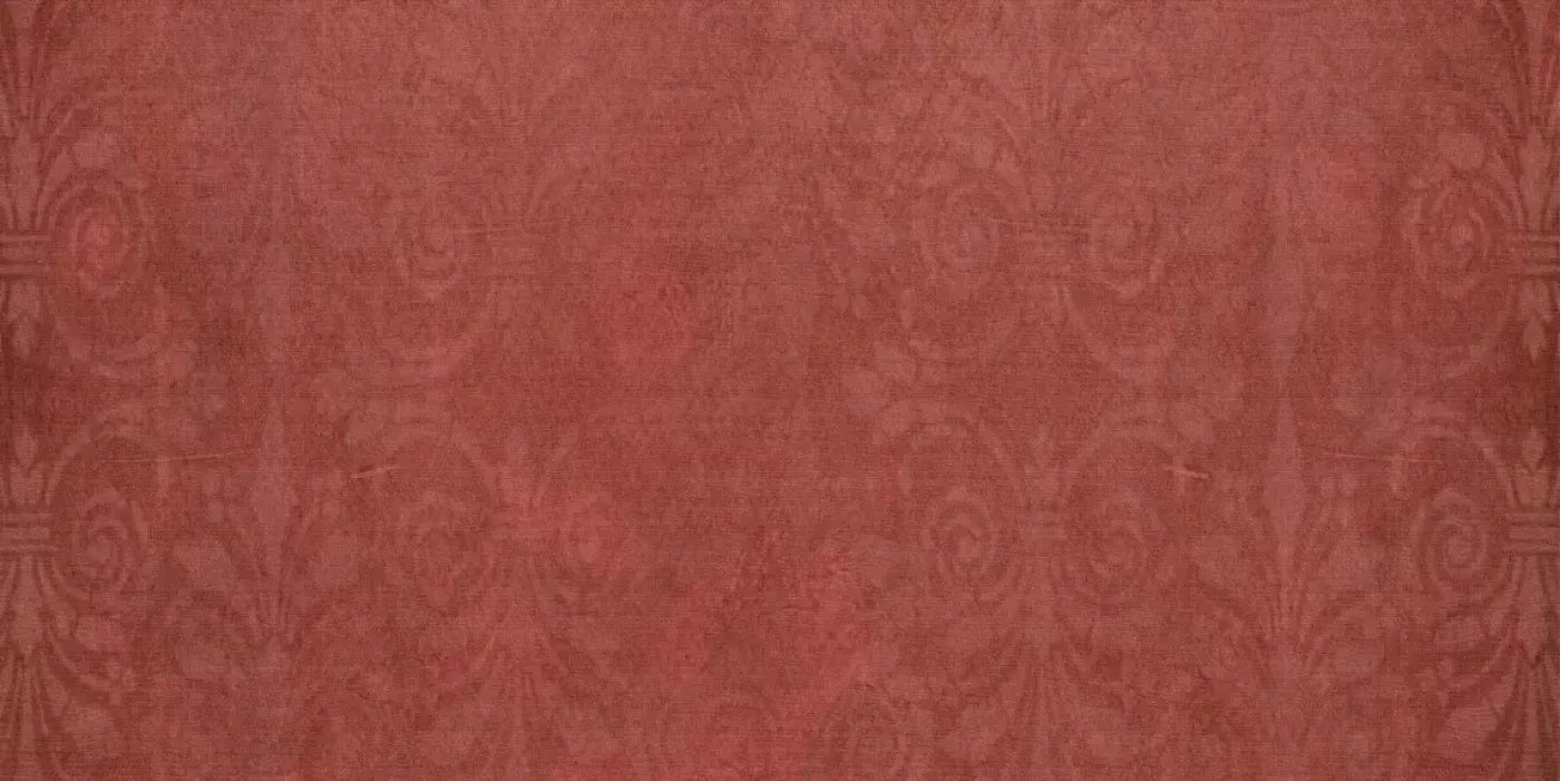 Roma 20X10 Ultracloth ( 240 X 120 Inch ) Backdrop