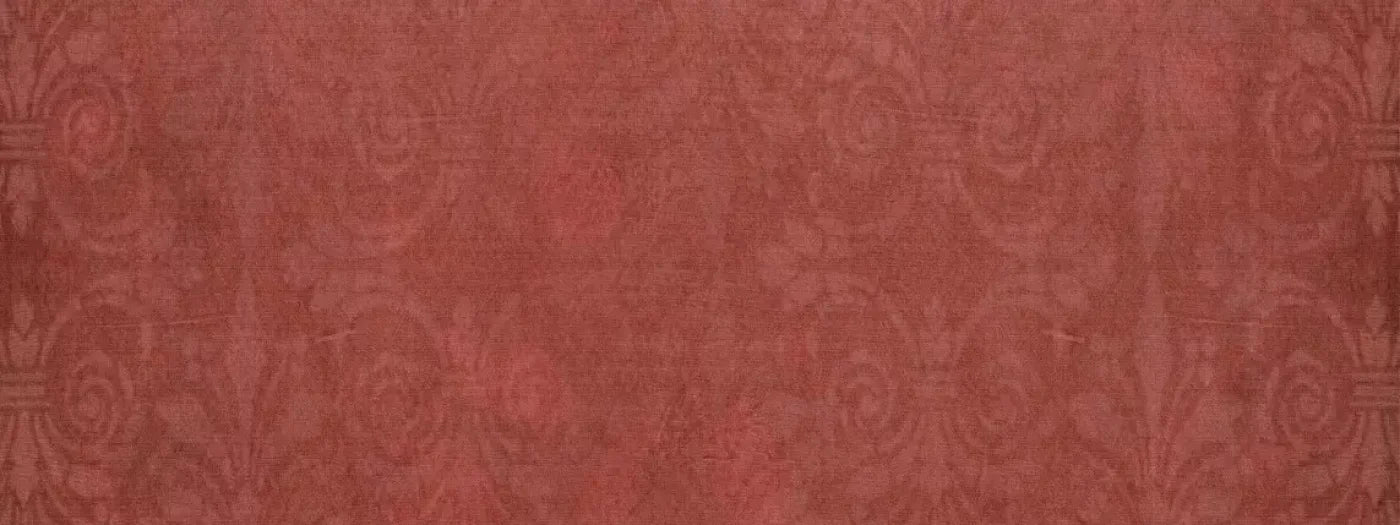 Roma 20X8 Ultracloth ( 240 X 96 Inch ) Backdrop