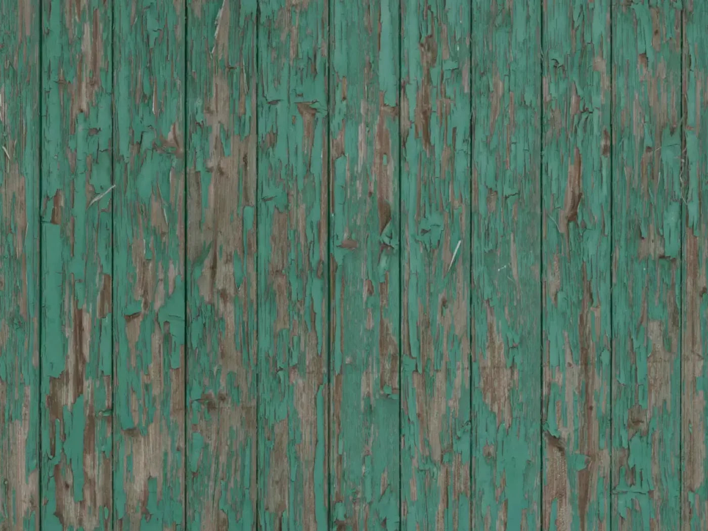 Ronny 10X8 Fleece ( 120 X 96 Inch ) Backdrop