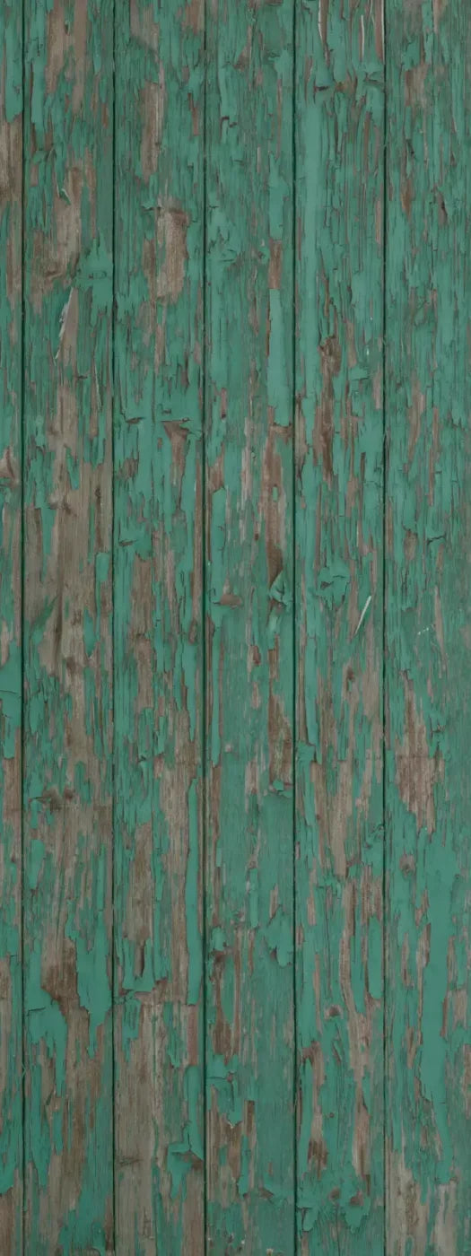 Ronny 8X20 Ultracloth ( 96 X 240 Inch ) Backdrop