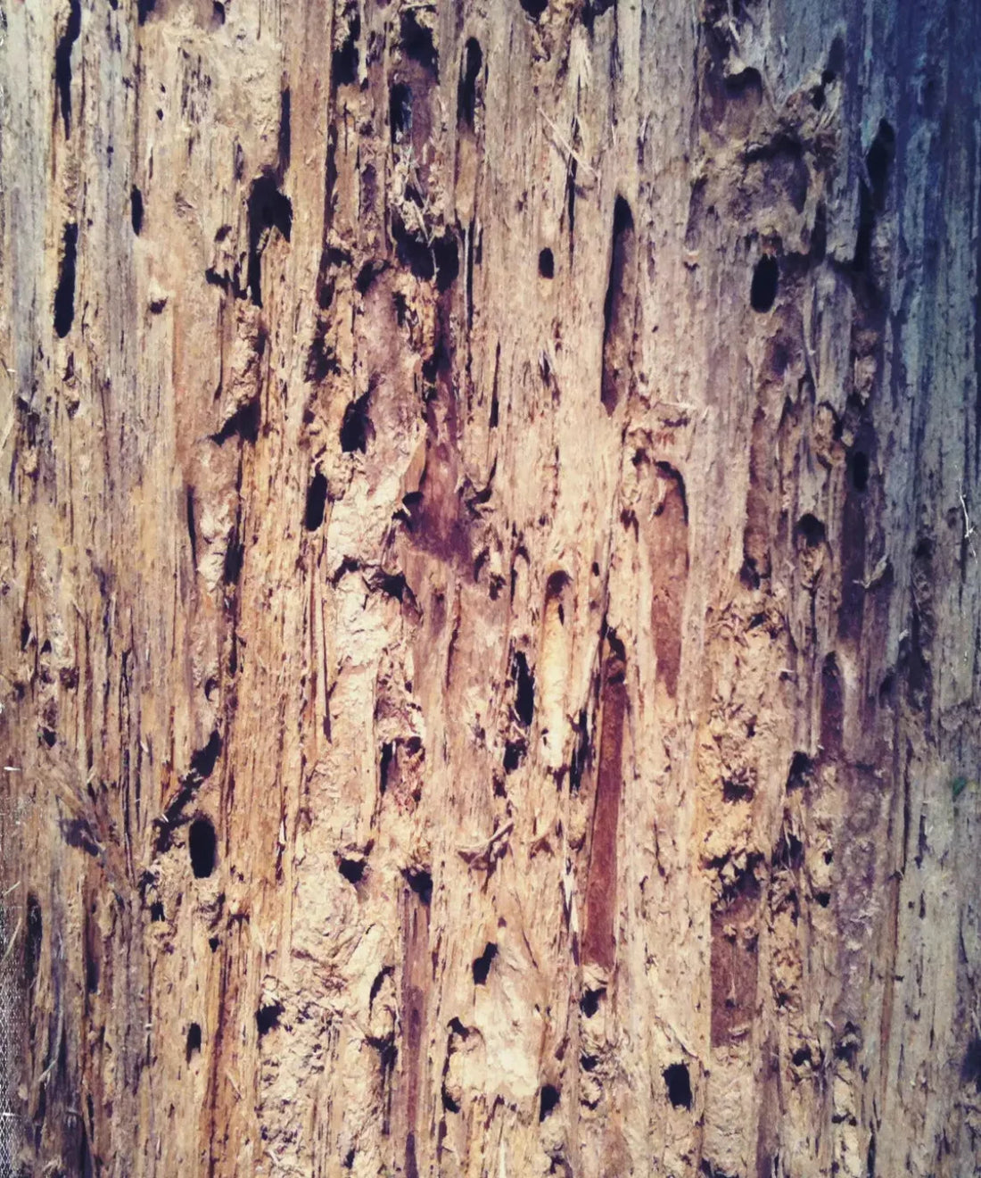 Beige Wood Backdrop for Photography