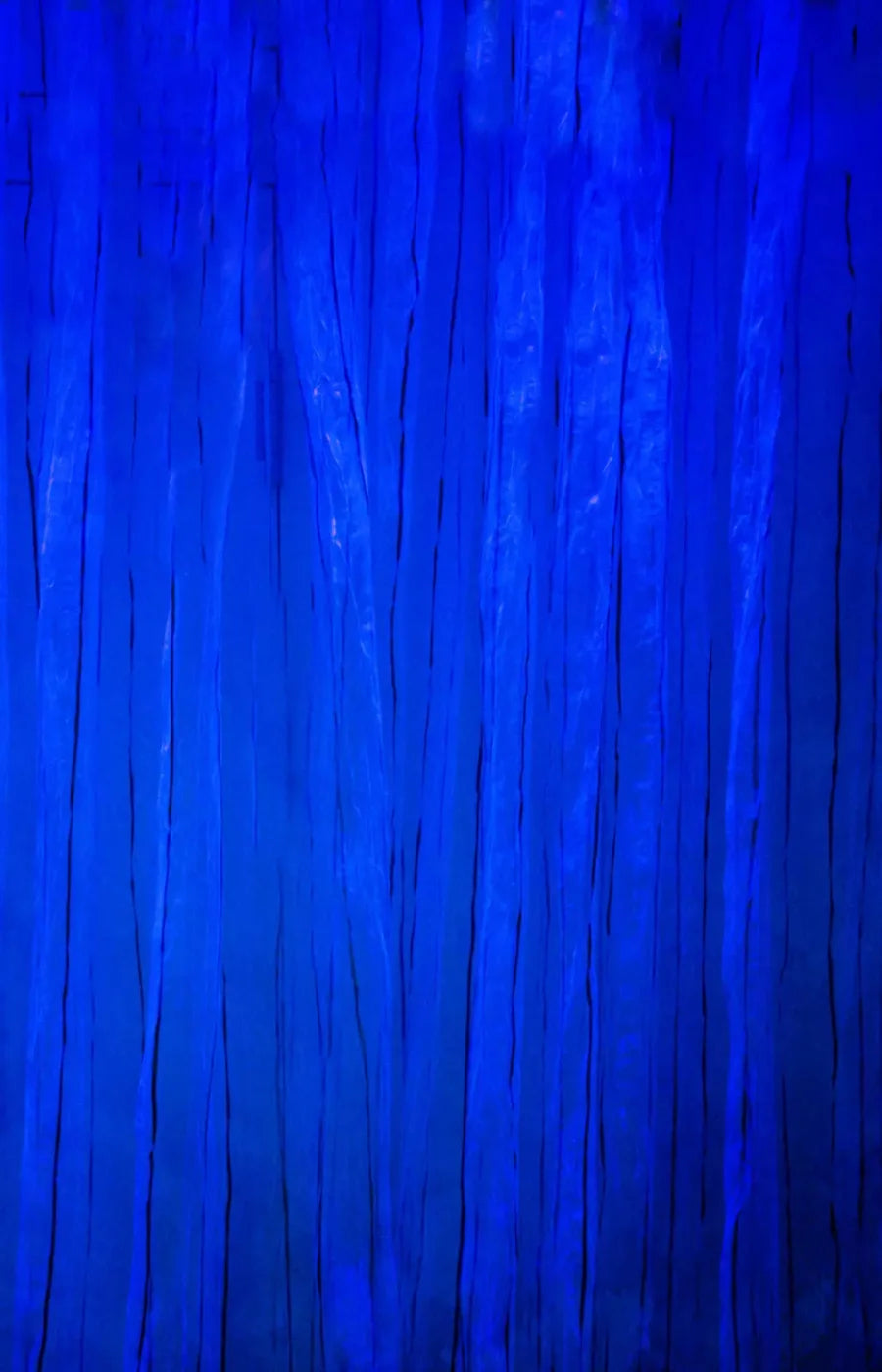 Royal Garment 8X12 Ultracloth ( 96 X 144 Inch ) Backdrop