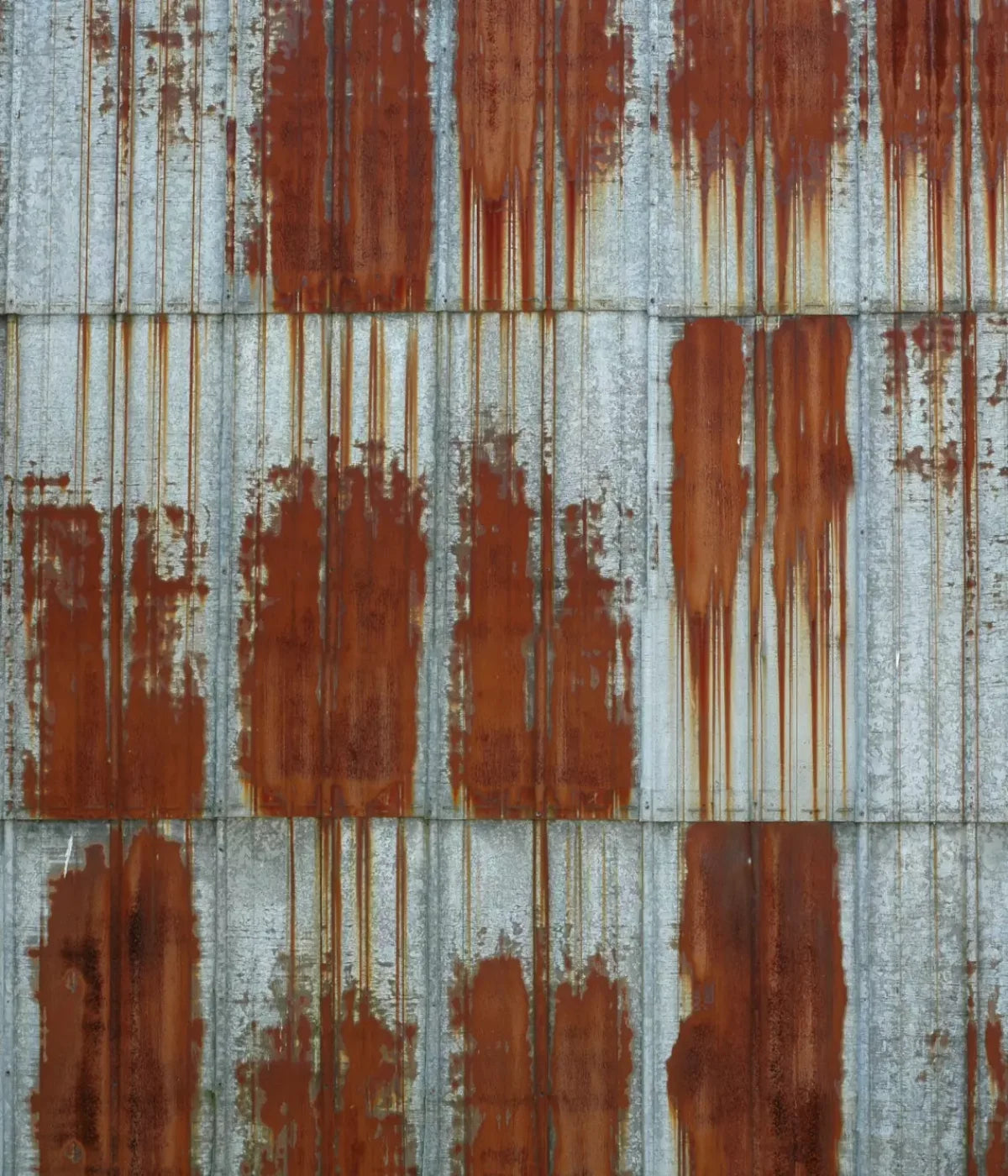 Rufus 10’X12’ Ultracloth (120 X 144 Inch) Backdrop