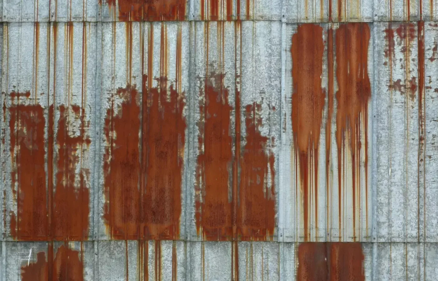 Rufus 12’X8’ Ultracloth (144 X 96 Inch) Backdrop