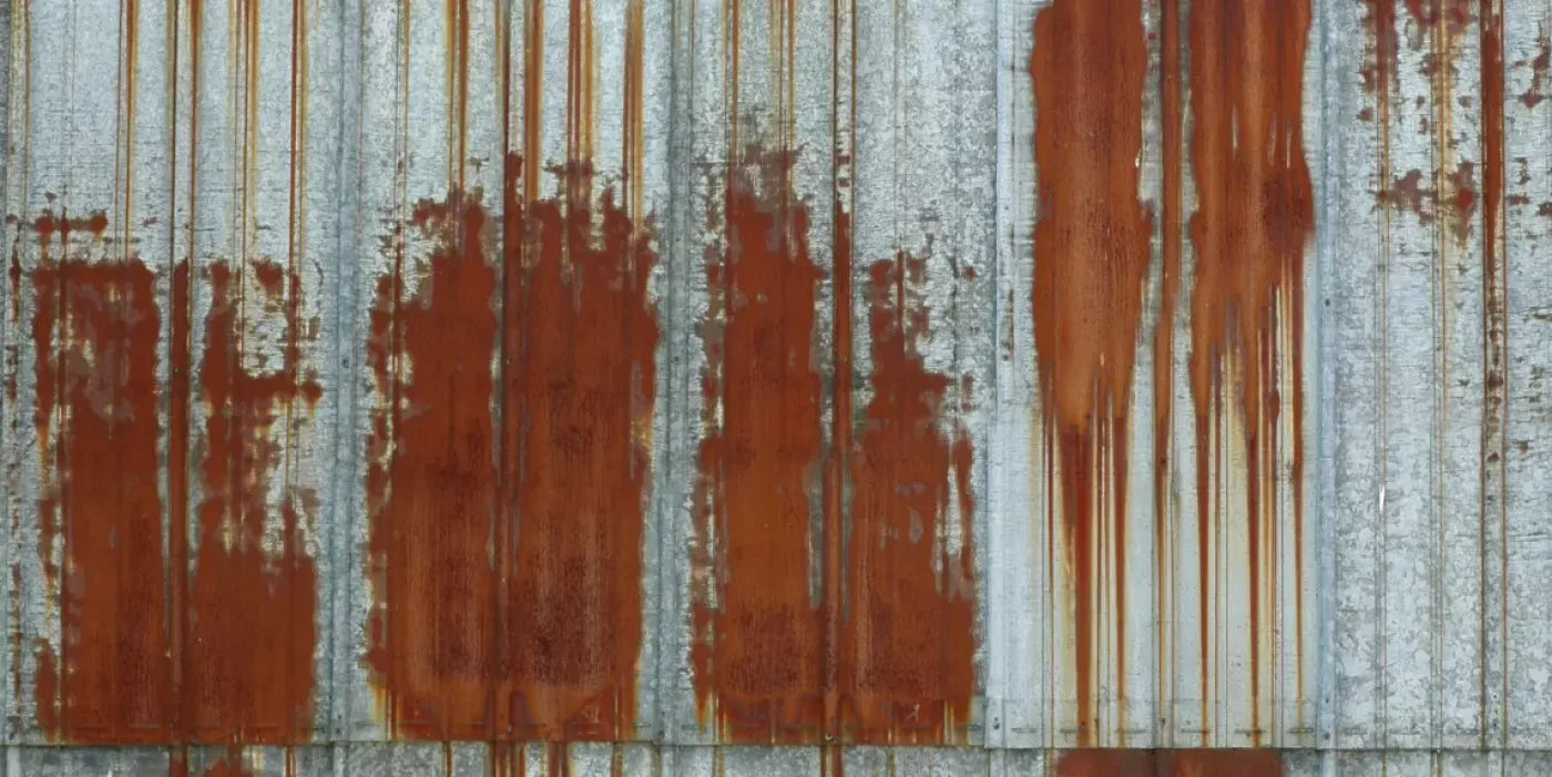 Rufus 20’X10’ Ultracloth (240 X 120 Inch) Backdrop