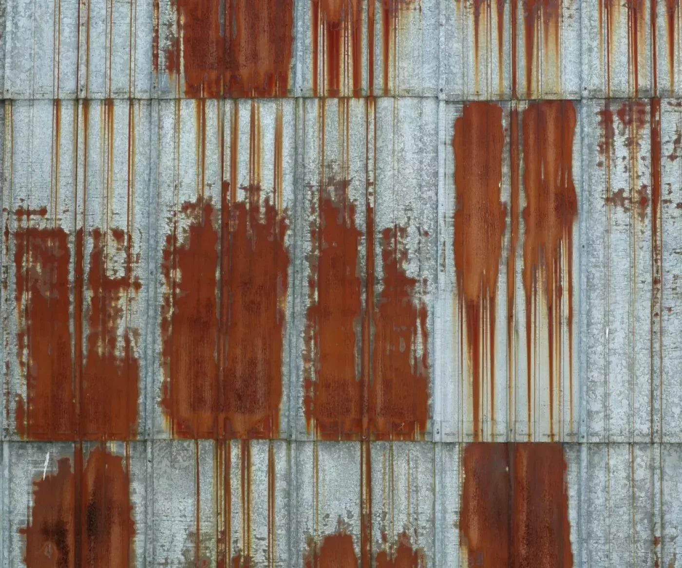 Rufus 5’X4’2’’ Fleece (60 X 50 Inch) Backdrop