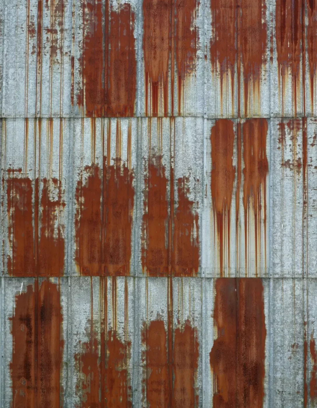 Rufus 6’X8’ Fleece (72 X 96 Inch) Backdrop