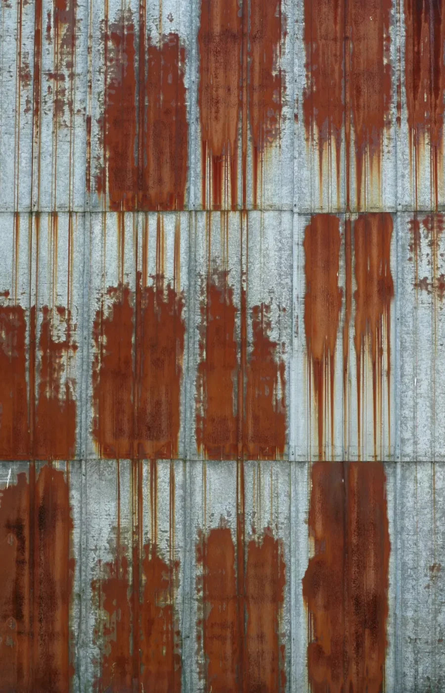 Rufus 8’X12’ Ultracloth (96 X 144 Inch) Backdrop