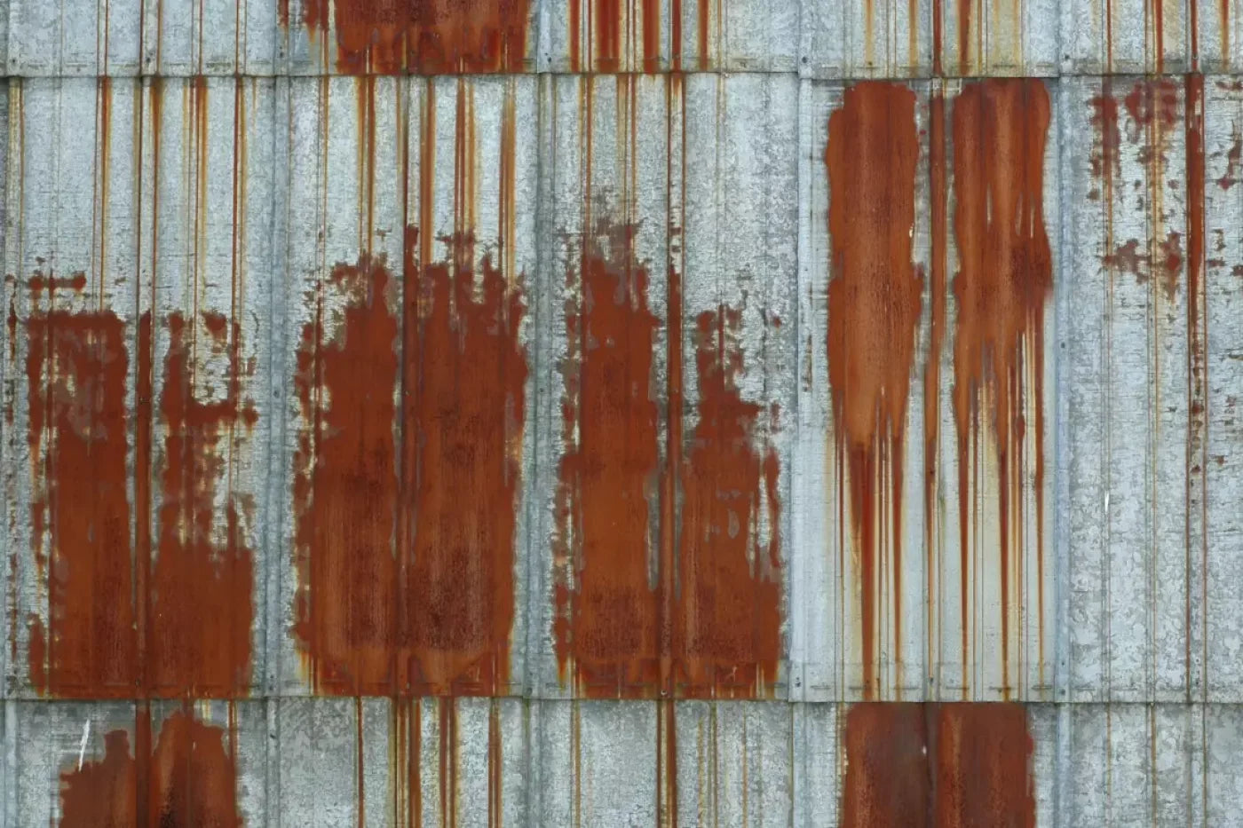 Rufus Backdrop
