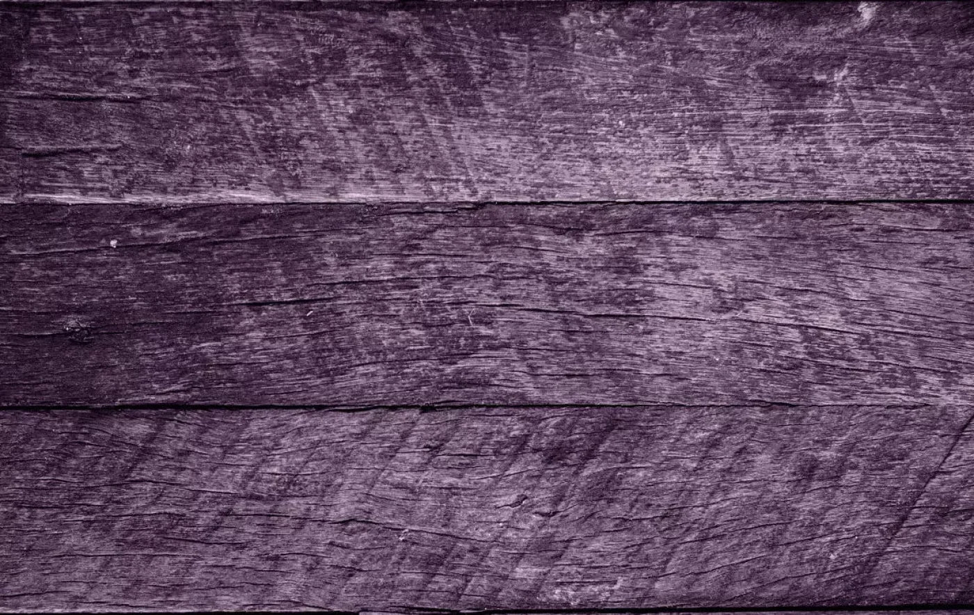 Rugged Purple 16X10 Ultracloth ( 192 X 120 Inch ) Backdrop