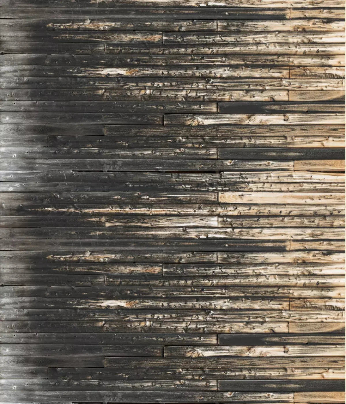 Russ 10X12 Ultracloth ( 120 X 144 Inch ) Backdrop