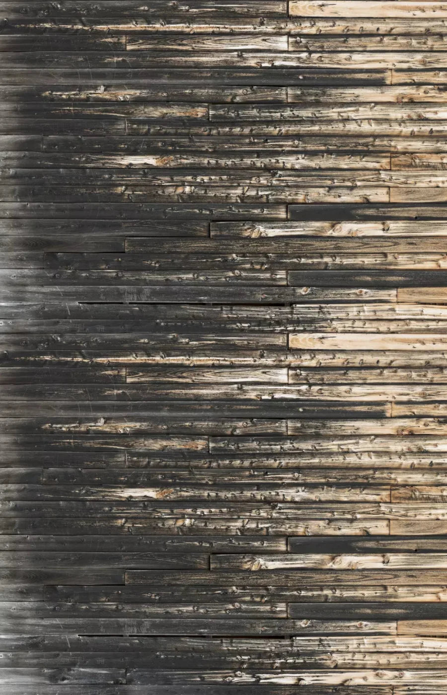 Russ 8X12 Ultracloth ( 96 X 144 Inch ) Backdrop