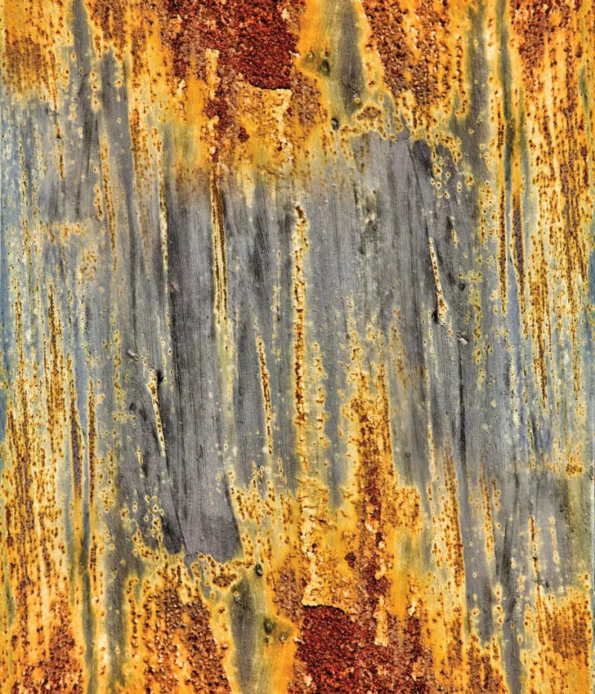 Rustic Dreams 10X12 Ultracloth ( 120 X 144 Inch ) Backdrop