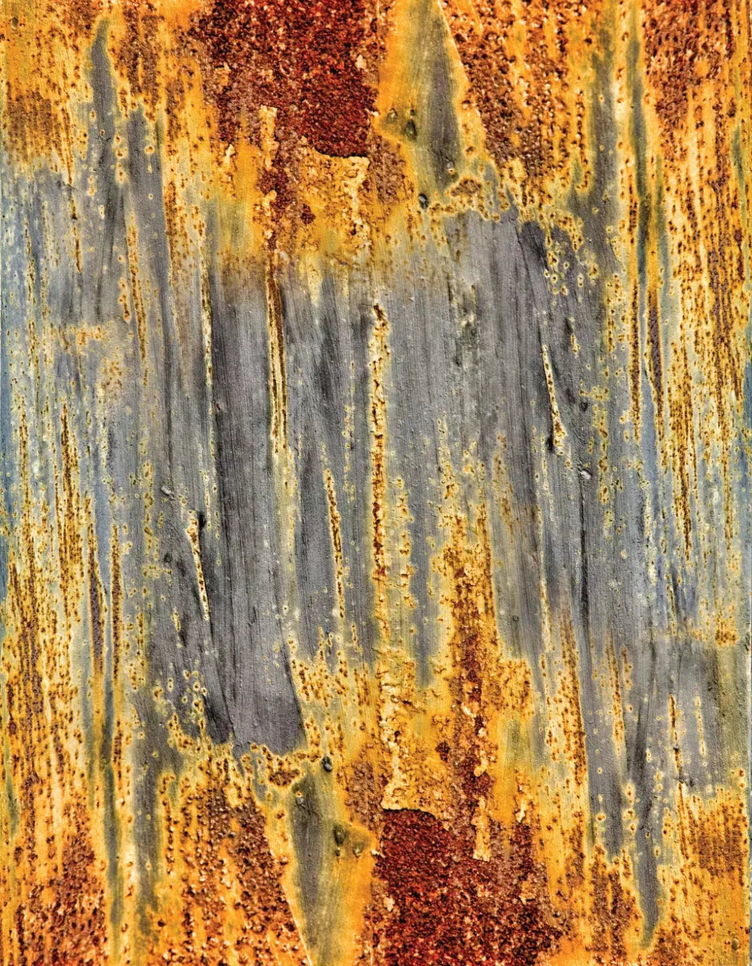 Rustic Dreams 6X8 Fleece ( 72 X 96 Inch ) Backdrop