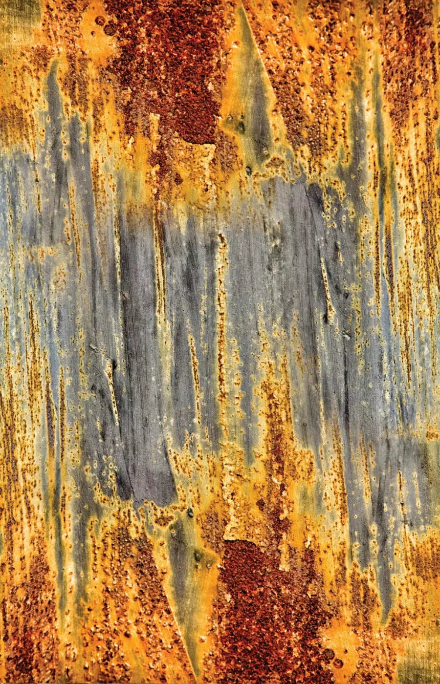 Rustic Dreams 8X12 Ultracloth ( 96 X 144 Inch ) Backdrop