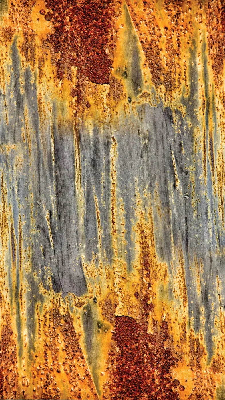 Rustic Dreams 8X14 Ultracloth ( 96 X 168 Inch ) Backdrop