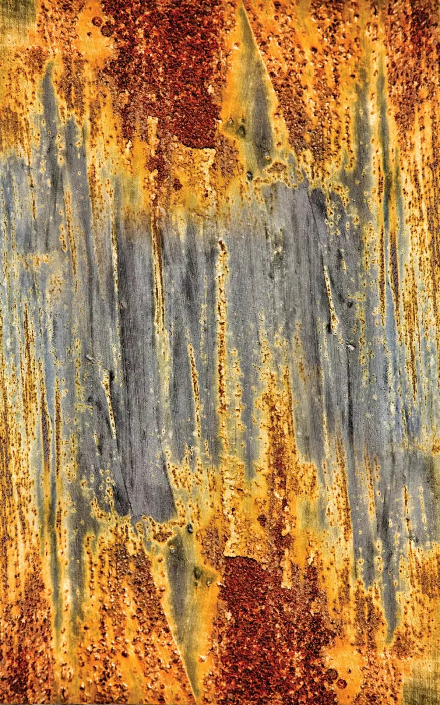 Rustic Dreams 9X14 Ultracloth ( 108 X 168 Inch ) Backdrop