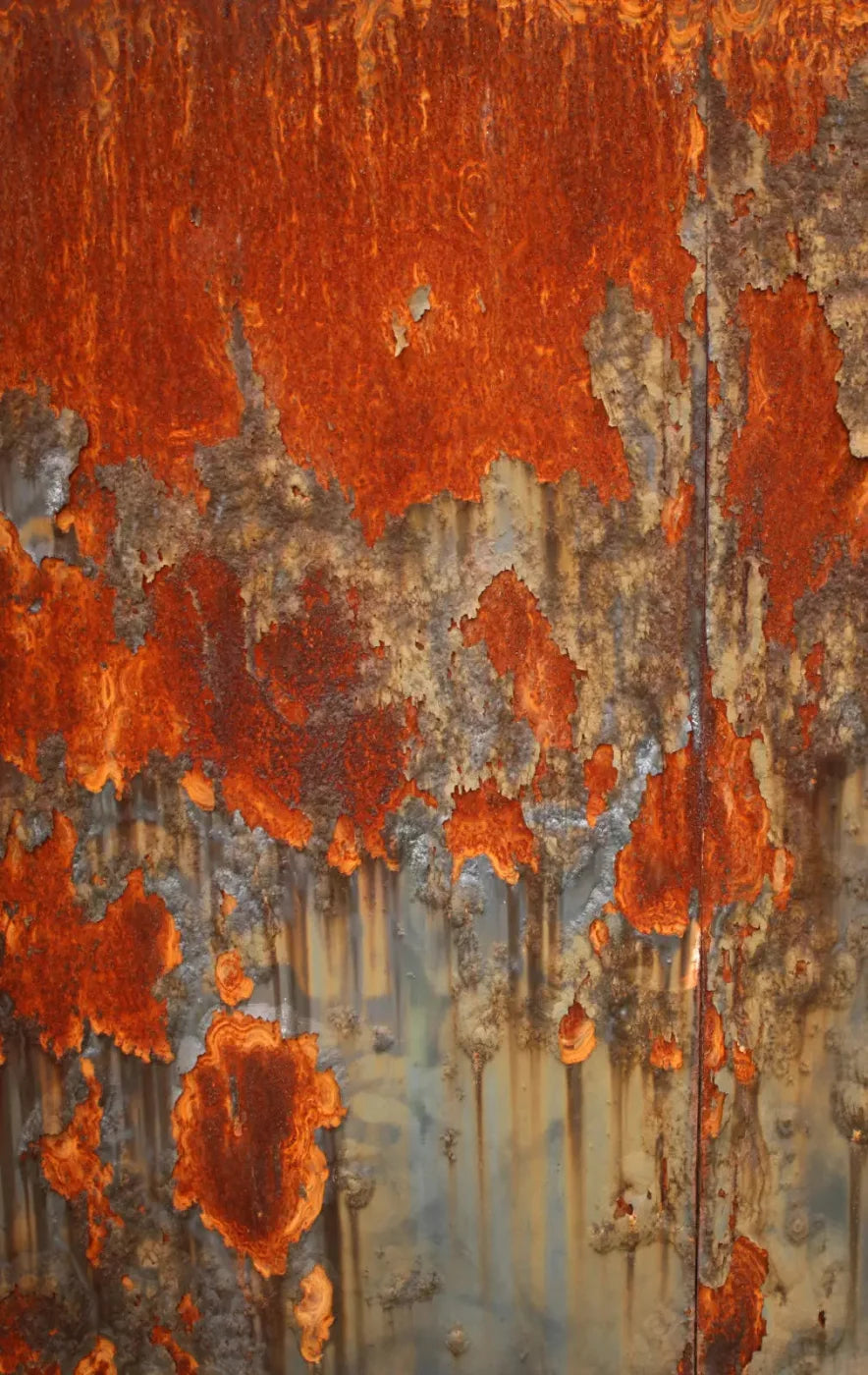 Rusty 10X16 Ultracloth ( 120 X 192 Inch ) Backdrop