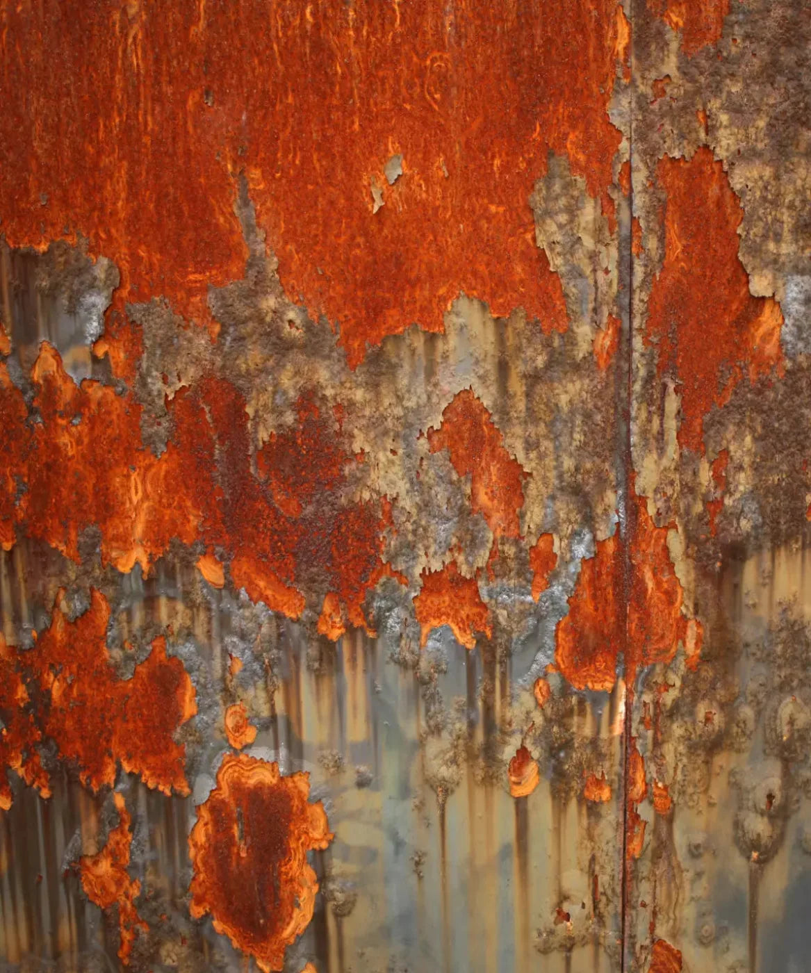 Orange Urban Grunge Backdrop for Photography