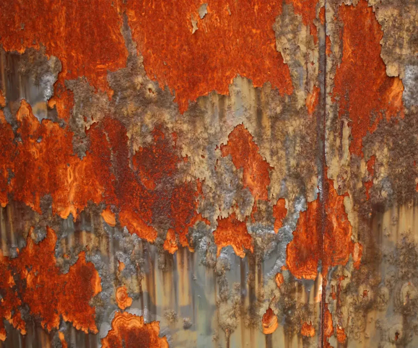 Rusty 5X42 Fleece ( 60 X 50 Inch ) Backdrop