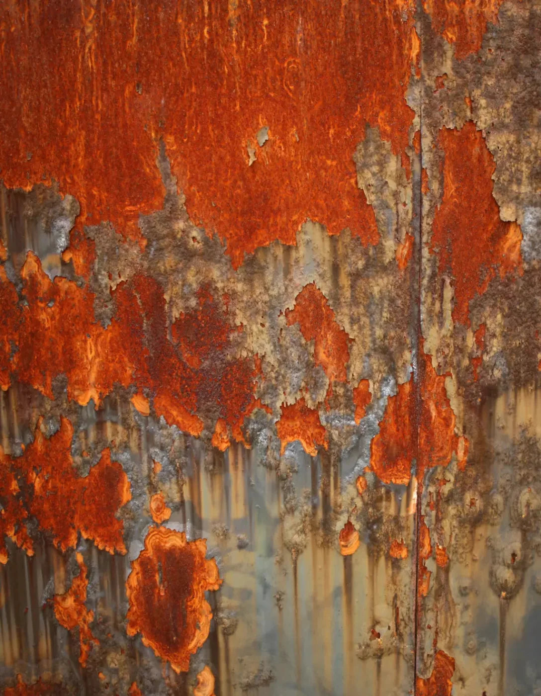 Rusty 6X8 Fleece ( 72 X 96 Inch ) Backdrop