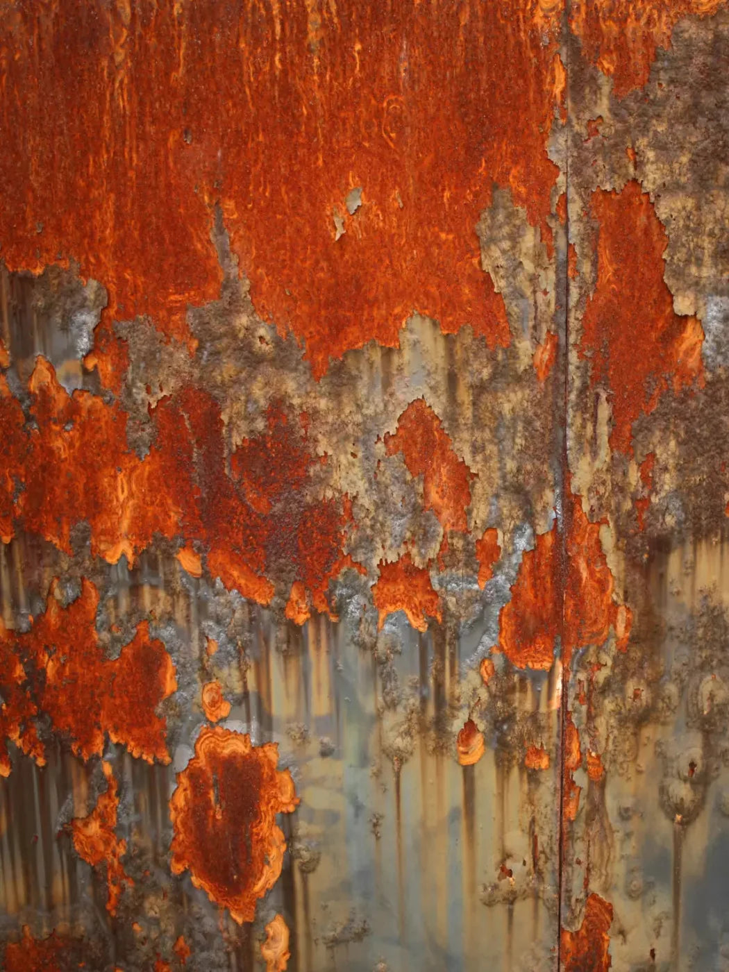 Rusty 8X10 Fleece ( 96 X 120 Inch ) Backdrop