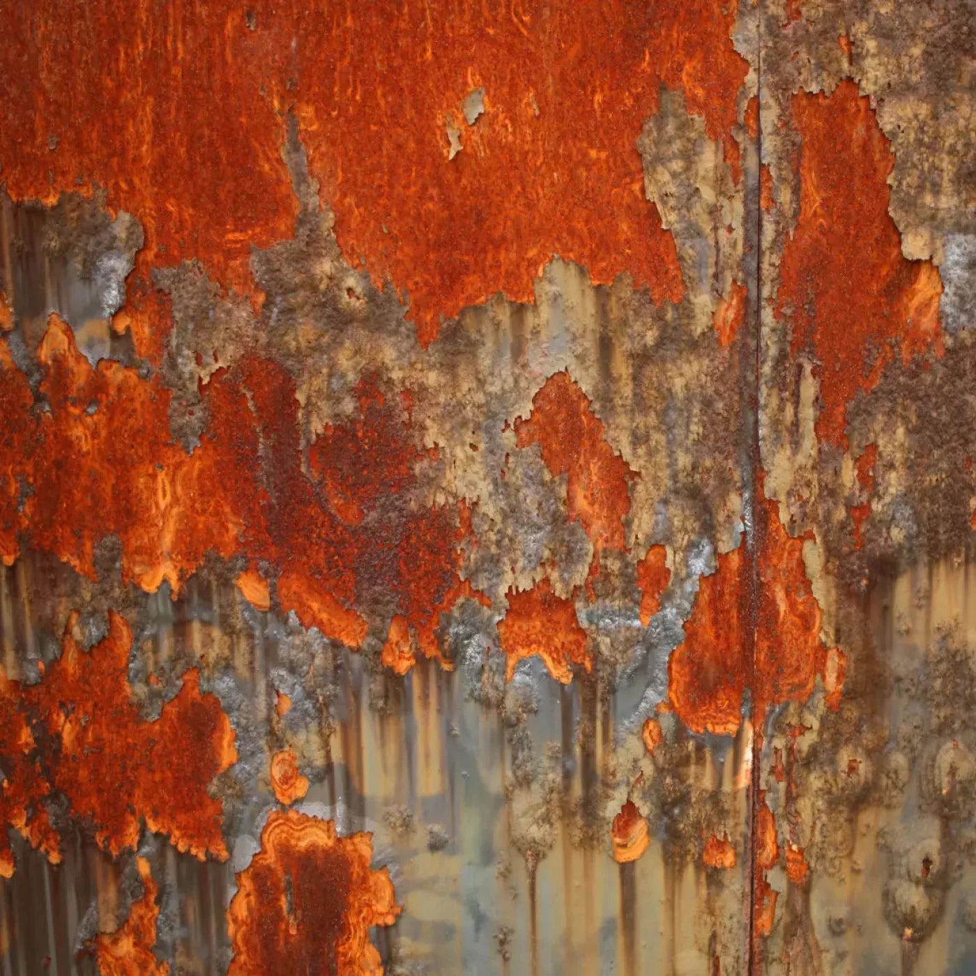 Rusty 8X8 Fleece ( 96 X Inch ) Backdrop