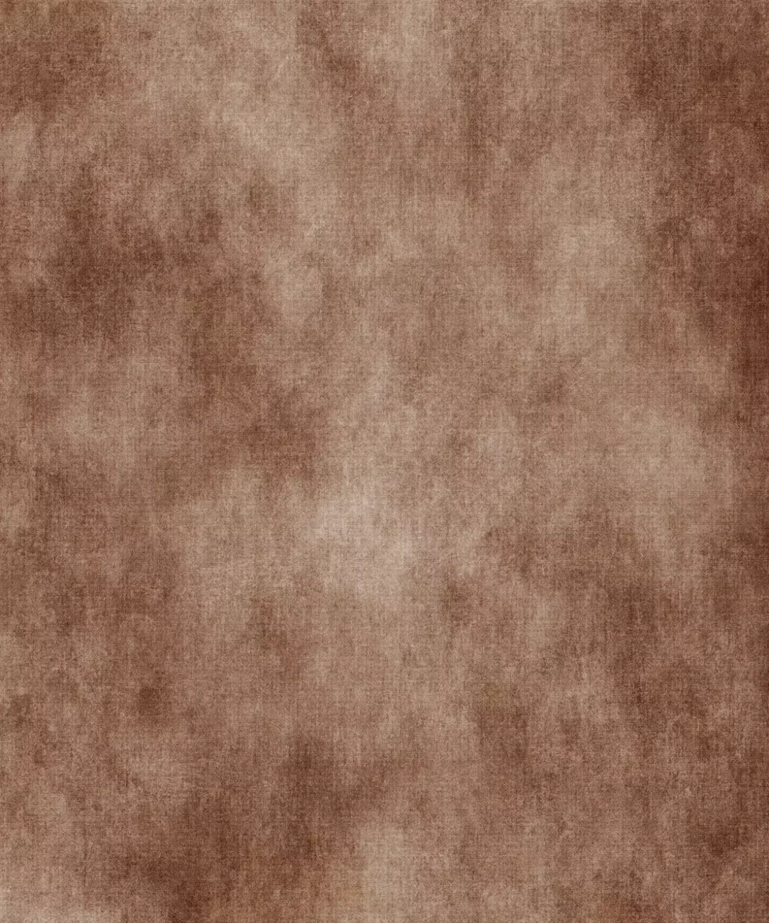 Brown Classic and Masters Backdrop for Photography