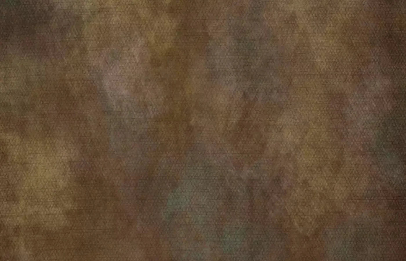 Sal 12X8 Ultracloth ( 144 X 96 Inch ) Backdrop