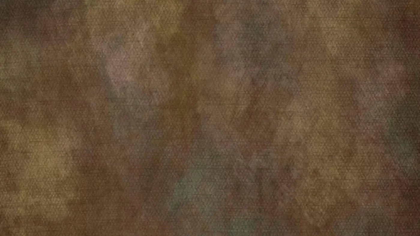 Sal 14X8 Ultracloth ( 168 X 96 Inch ) Backdrop