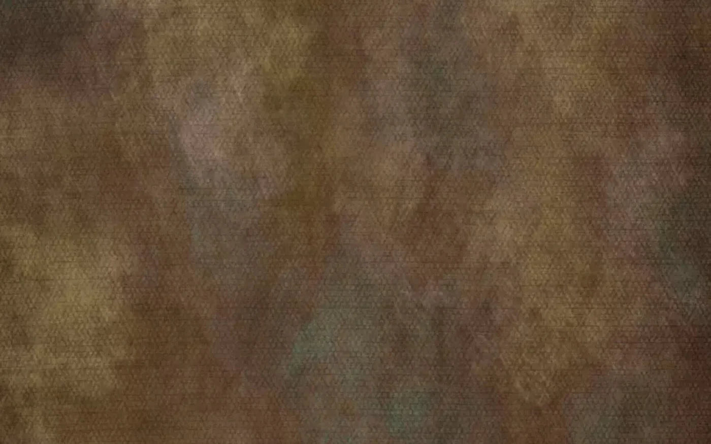 Sal 14X9 Ultracloth ( 168 X 108 Inch ) Backdrop