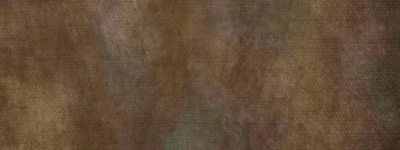 Sal 20X8 Ultracloth ( 240 X 96 Inch ) Backdrop