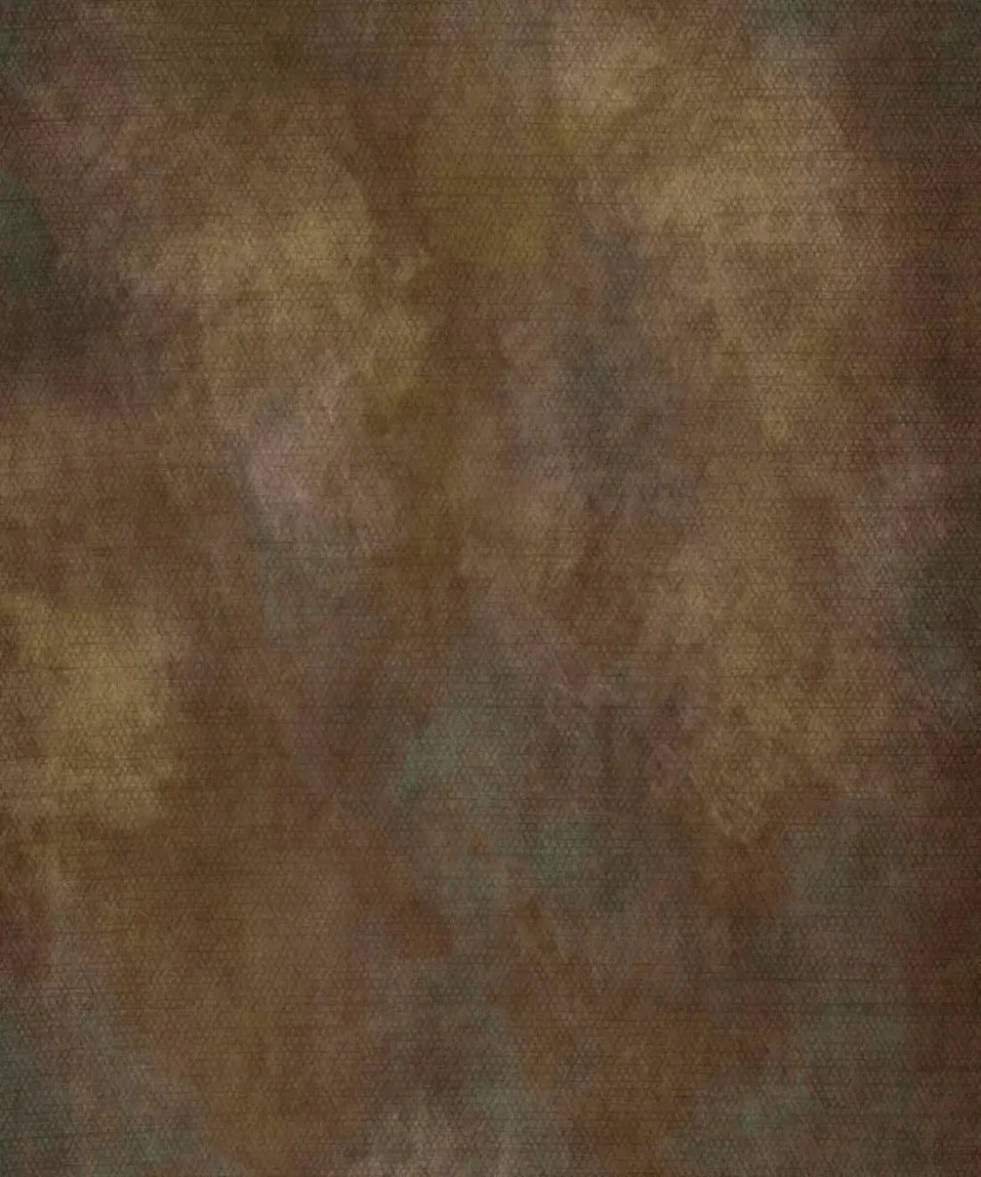 Brown Classic and Masters Backdrop for Photography