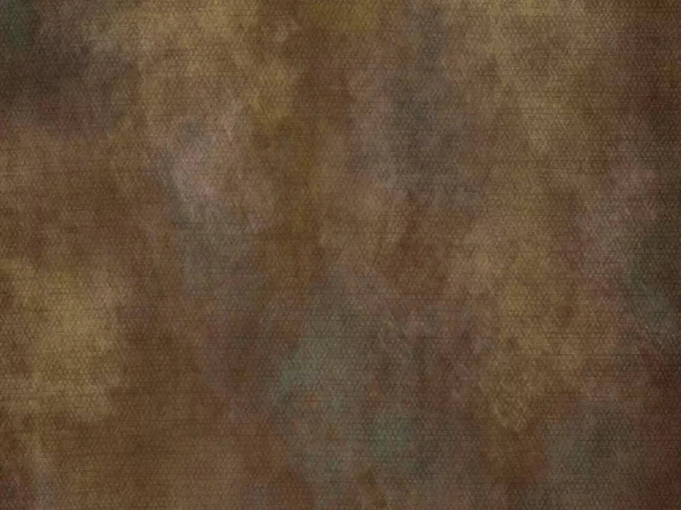 Sal 68X5 Fleece ( 80 X 60 Inch ) Backdrop