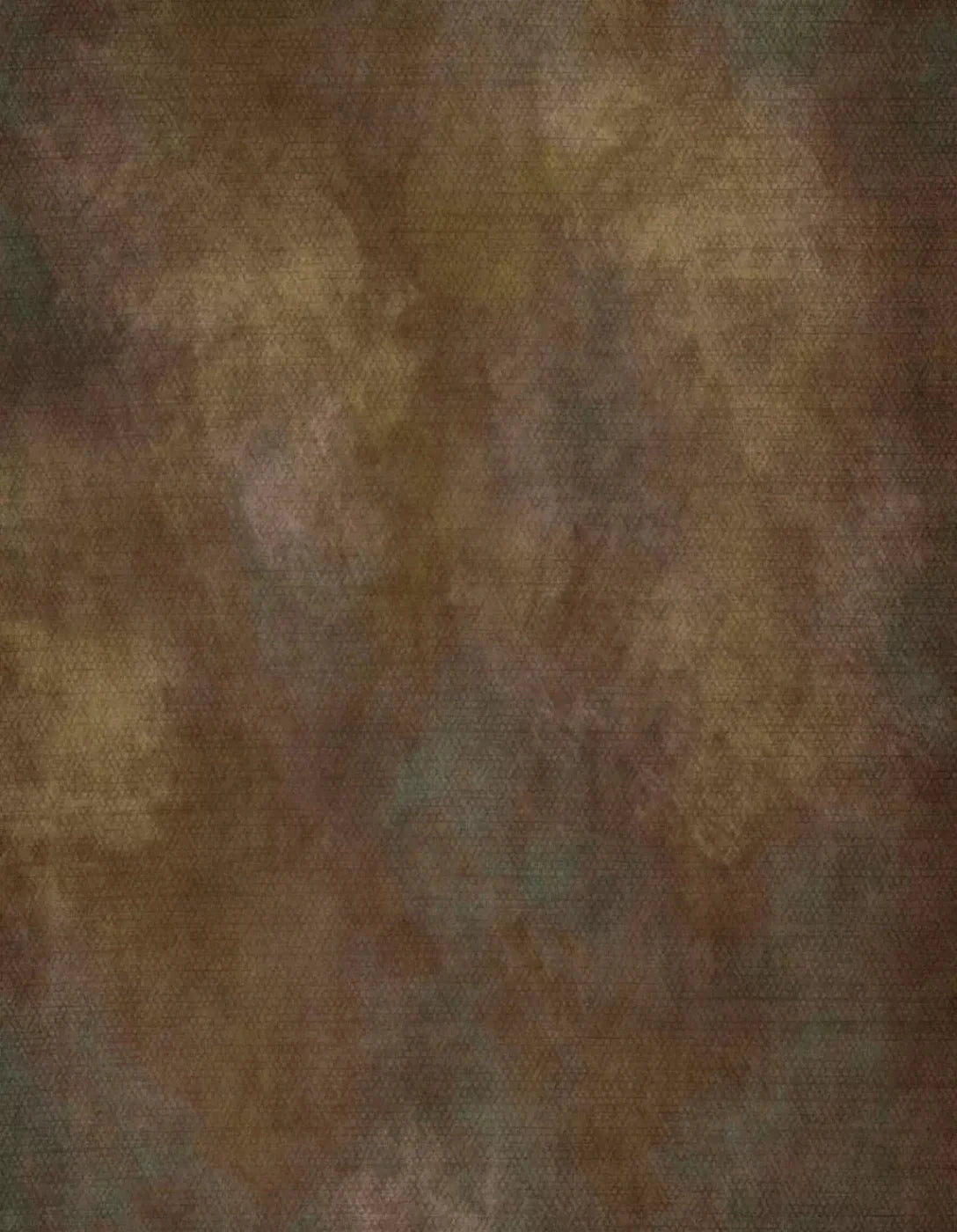 Sal 6X8 Fleece ( 72 X 96 Inch ) Backdrop
