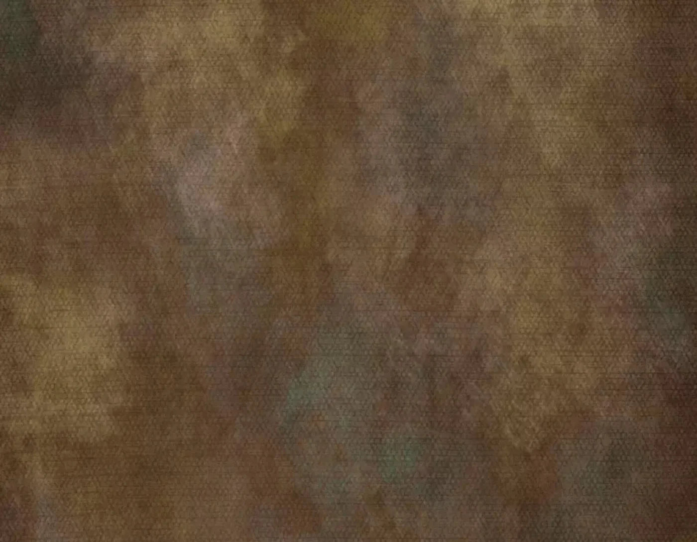 Sal 8X6 Fleece ( 96 X 72 Inch ) Backdrop