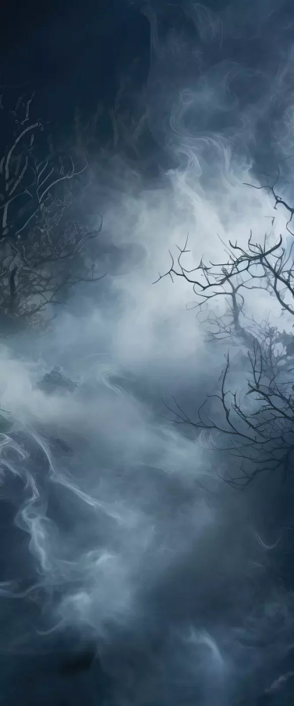 Salem Tale 5’X12’ Ultracloth For Westcott X - Drop (60 X 144 Inch) Backdrop