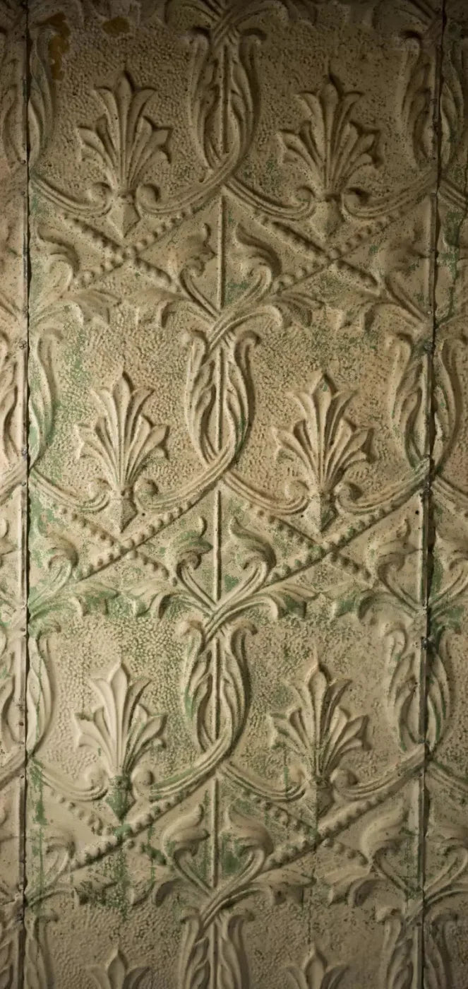 Salvaged 8X16 Ultracloth ( 96 X 192 Inch ) Backdrop