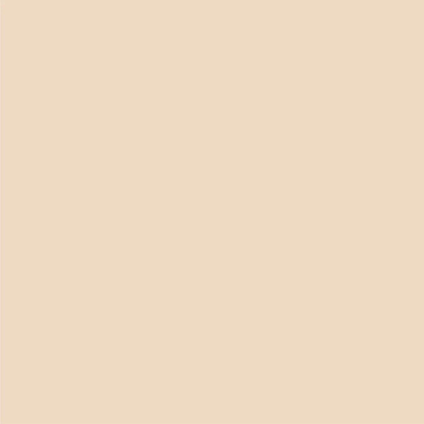 Sand Box 10X10 Ultracloth ( 120 X Inch ) Backdrop