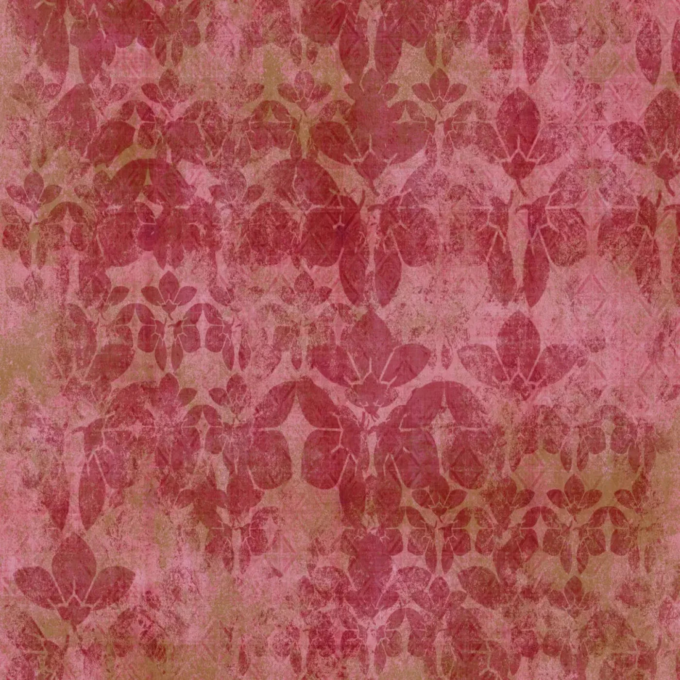 Sandra Backdrop