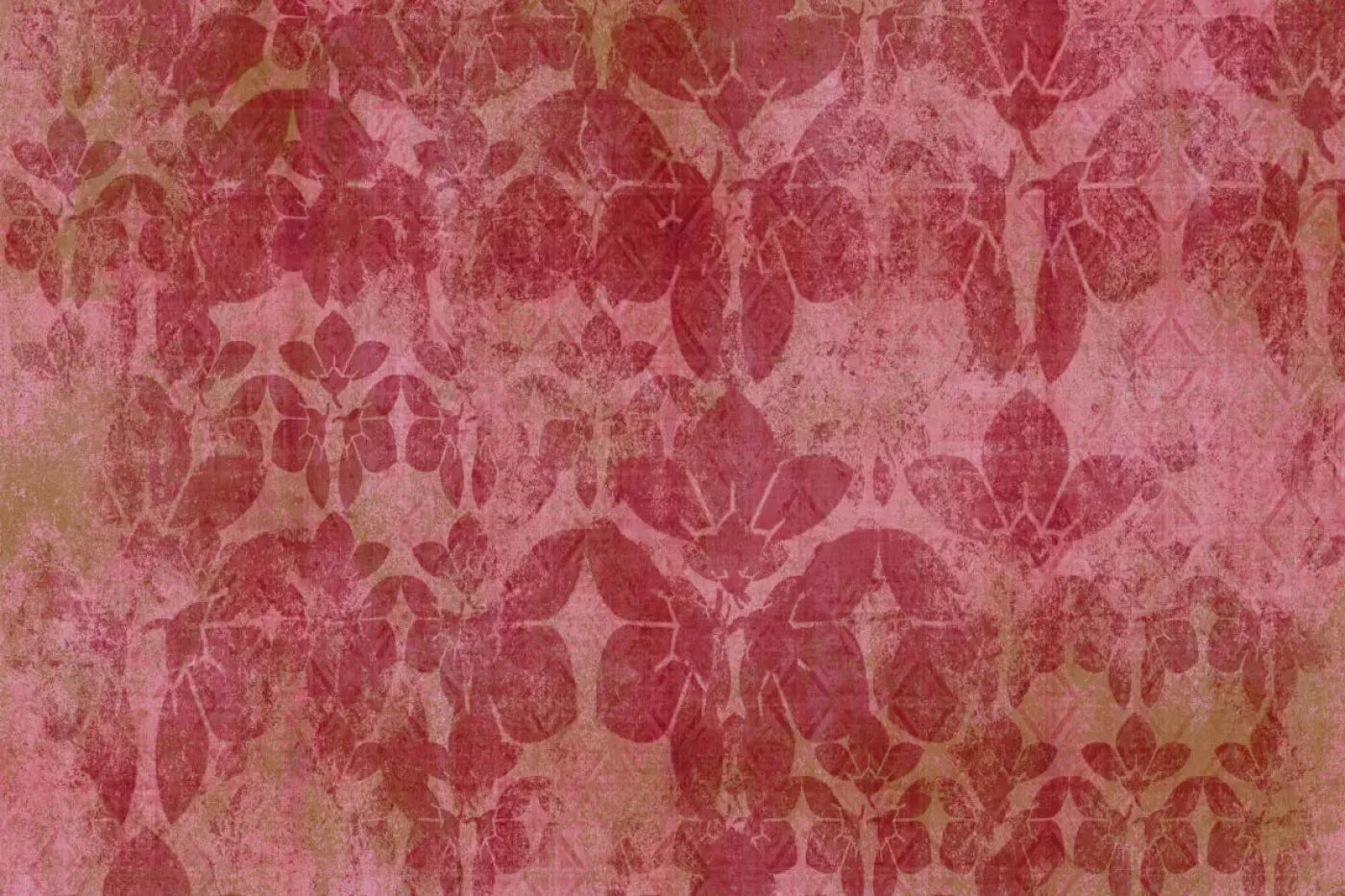 Sandra Backdrop
